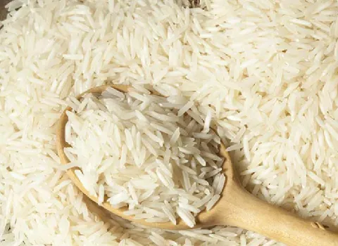 خرید برنج تایلندی جی تی سی + قیمت فروش استثنایی